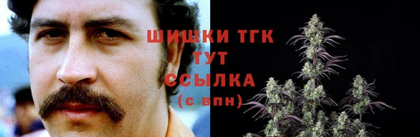 бошки Вязьма