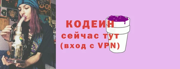 прущие крисы Вяземский