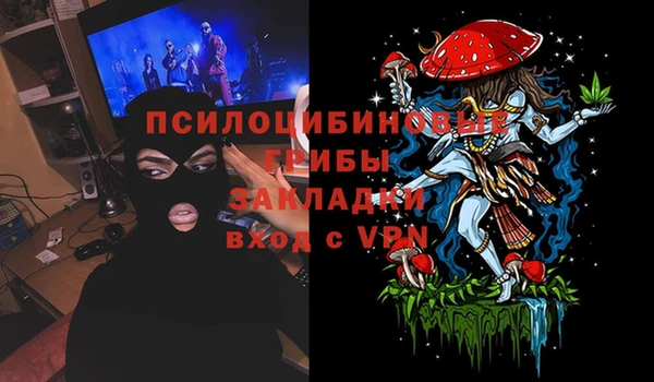 бошки Вязьма