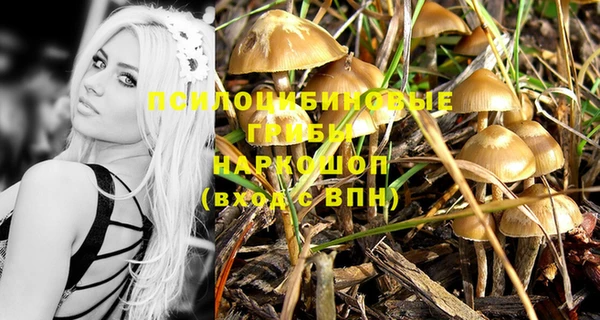 трава Вязники