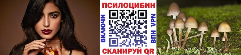 Псилоцибиновые грибы Psilocybine cubensis Якутск