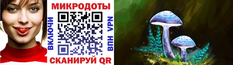 Псилоцибиновые грибы Psilocybe закладка Якутск